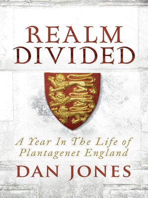 cover image of Realm Divided